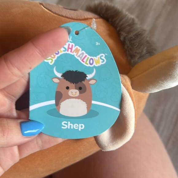 Shep - Picture 3 of 3